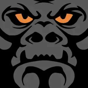 GORILLA SAFETY Gorilla Fleet Intelligence App