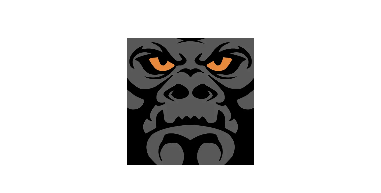 Gorilla Safety Gorilla Fleet Intelligence App User Manual