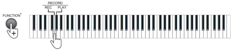 MONOPRICE 600043 88-Key Digital Piano- Record