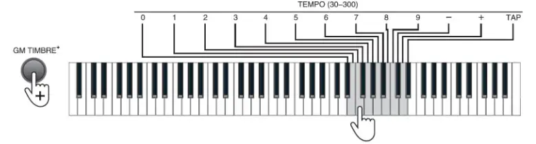 MONOPRICE 600043 88-Key Digital Piano- Tempo
