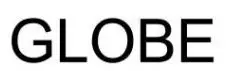 global logo