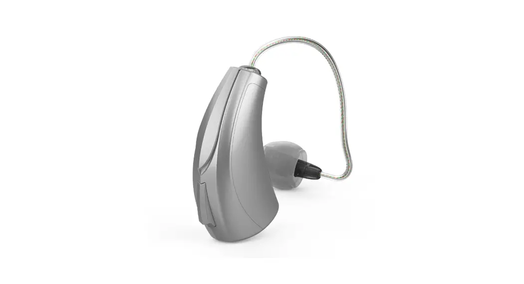 Starkey Ric 312 Hearing Aids User Guide