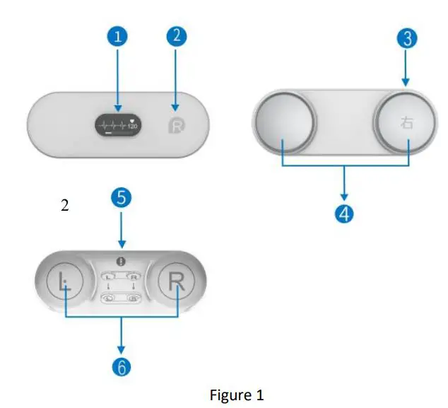 viatom 3624 ECG Recorder User Manual - Figure 1