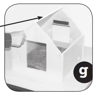 K H Birchwood Manor Kitty Home - stripping