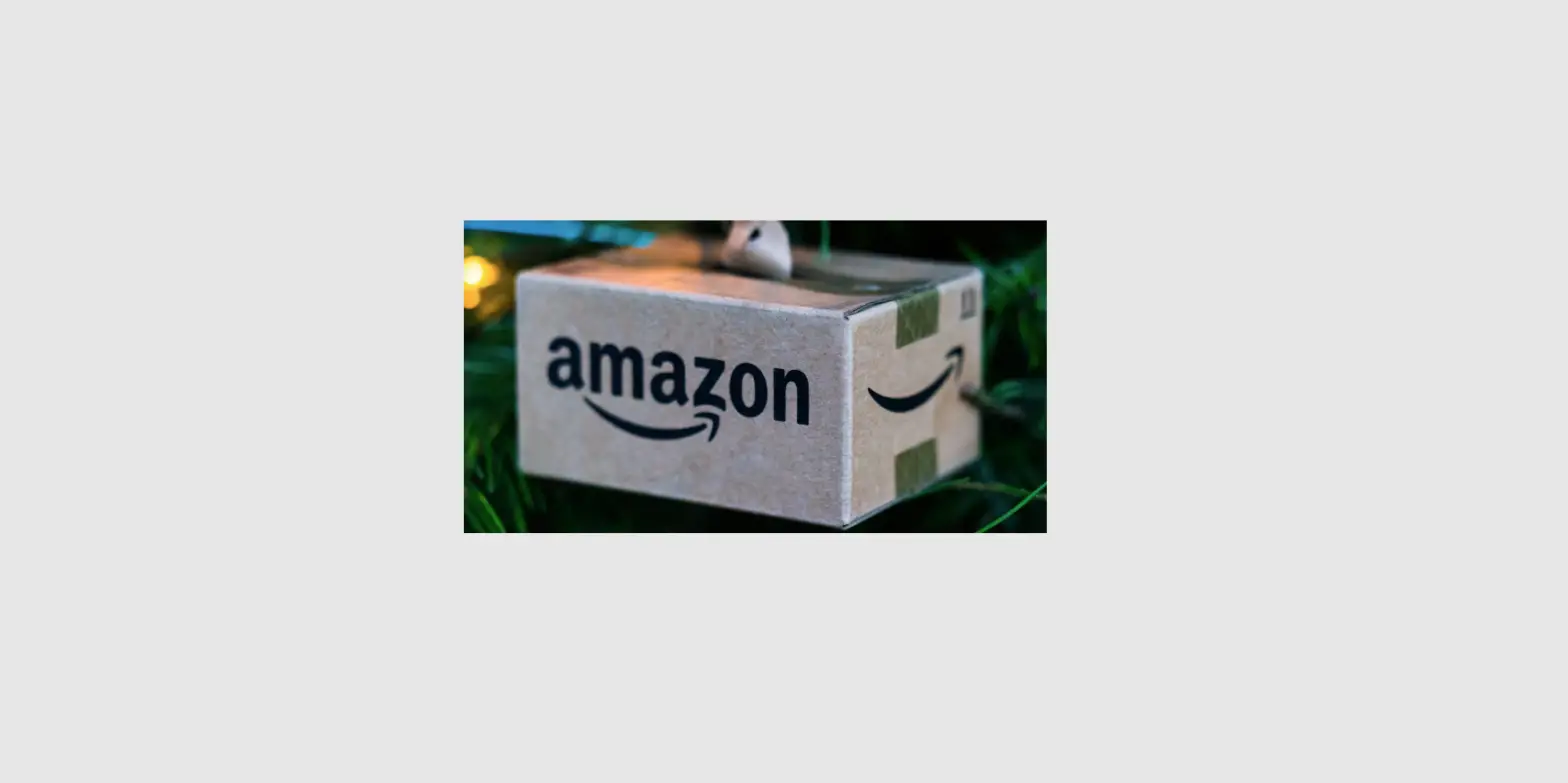 Amazon Q4 Strategy User Manual