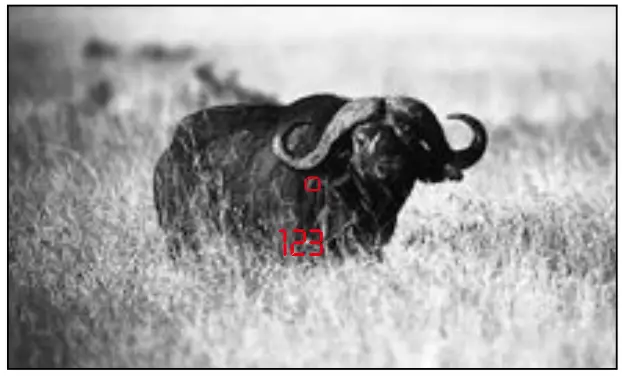 Leica 40426 8x42 Geovid R Binocular and Rangefinder-fig8