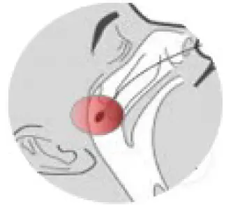 Artron COVID-19 Antigen Test 01