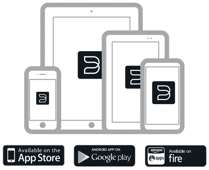 BLUESOUND LIVINGHIFI PULSE M - FIG 2