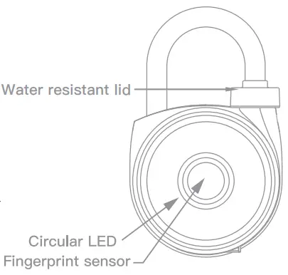 Fingerprint Registration
