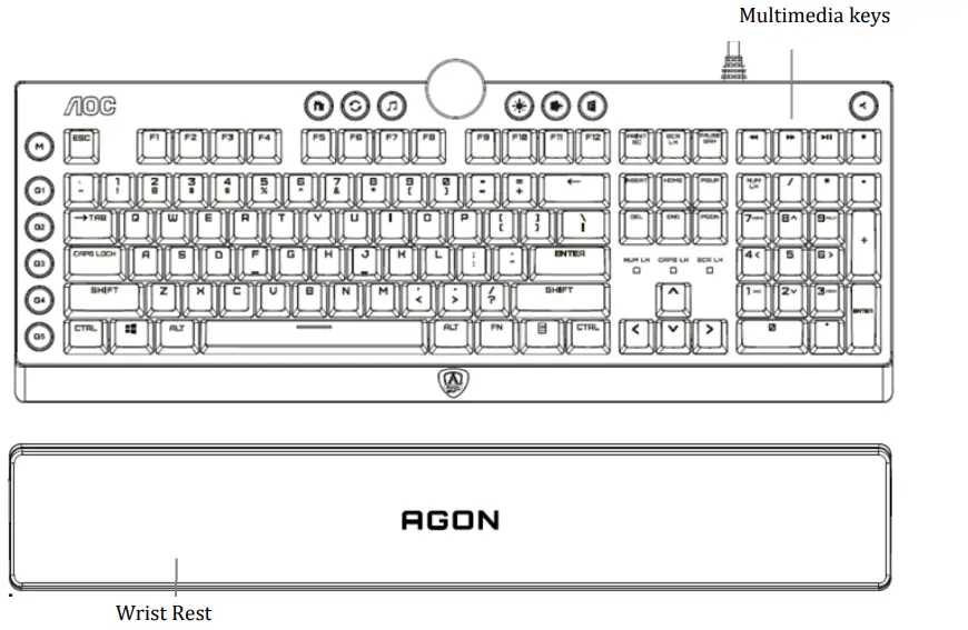 FUNCTIONAL INTRODUCTION