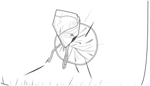 Banzai 39029 - Fig. A4