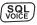 YAESU FTM-100DR DE User Manual - SQL