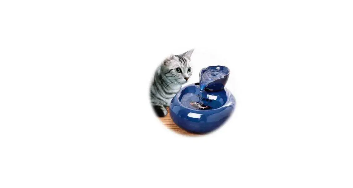 Smania Pet Drinking Fountain Lotus Instructions Smania Pet Drinking Fountain Lotus Instructions