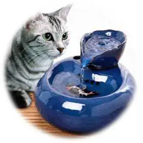 SMANIA Pet Drinking Fountain Lotus image