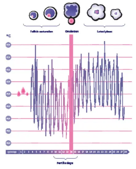 OvulaRing Apps - body temperature