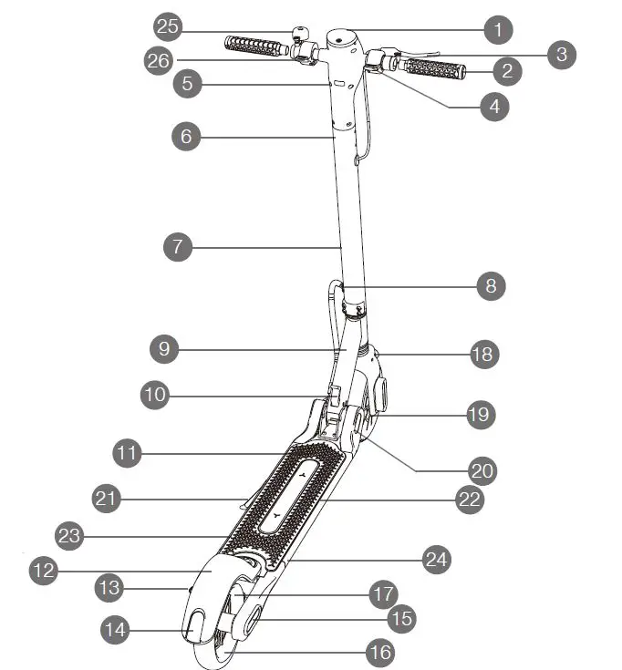 MEGA-MOTION-M5-Folding-Electric-Scooter-FIG-1
