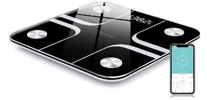 Fitday Electronic Body Fat Scale