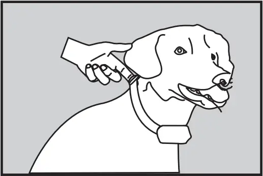 PATPET 682 - Coller Fitting