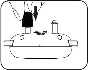 PATPET 682 - Get the coller ready 2