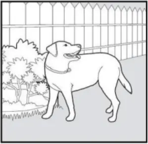 PATPET 682 - Training Trick 14