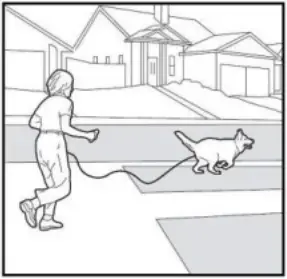 PATPET 682 - Training Trick 15