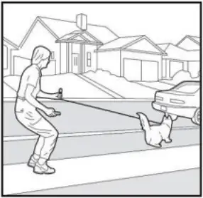 PATPET 682 - Training Trick 16