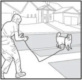 PATPET 682 - Training Trick 17