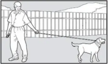 PATPET 682 - Training Trick 4