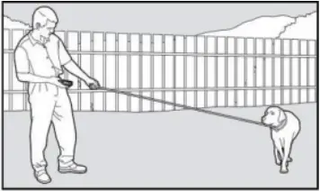 PATPET 682 - Training Trick 5