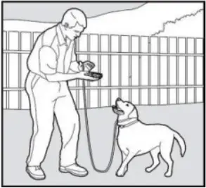 PATPET 682 - Training Trick 6