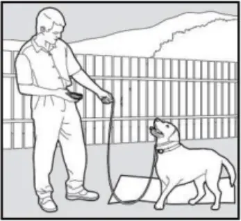 PATPET 682 - Training Trick 8