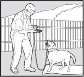 PATPET 682 - Training Trick 9