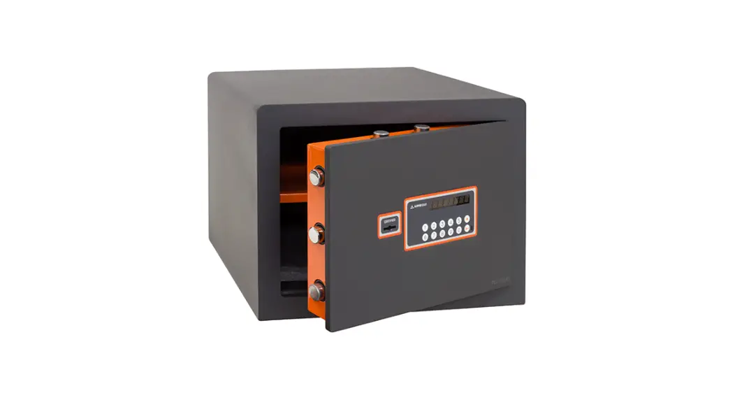 Arregui Sua Class Electronic Surface Safe Instruction Manual