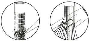niceboy Sonic Toothbrush ION - toothbrush