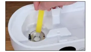 CLEANING THE MEMBRANE