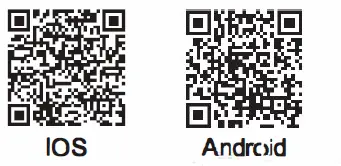 HELIWAY F6BC Remote Control Car-8