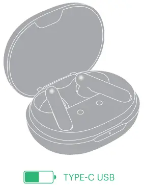 nOISE Air Buds True Wireless Earbuds - earphone7