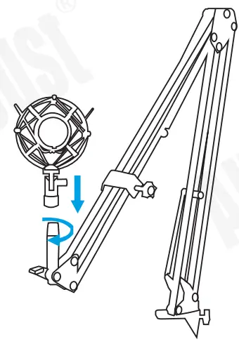 augustint REC100 USB Studio Microphone - fig 4
