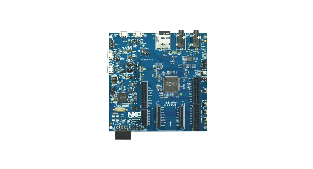 Nxp Lpc55s1x Development Board Instructions