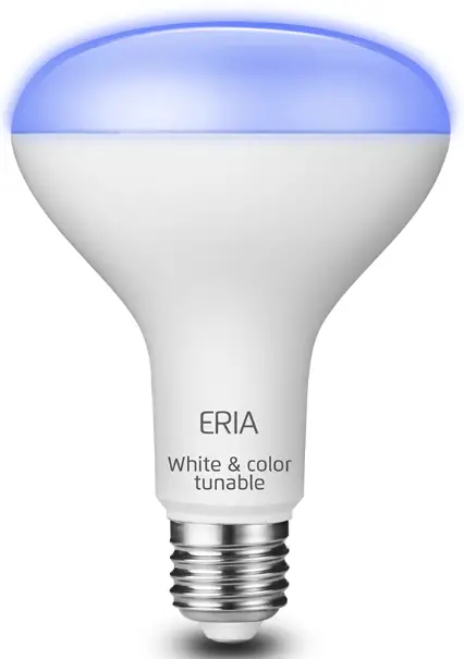 ADUROSMART ERIA 81896 Extended Color Spotlight