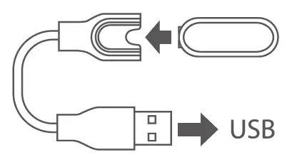 POCKET-Auto-Catch-Lightning-fig-10