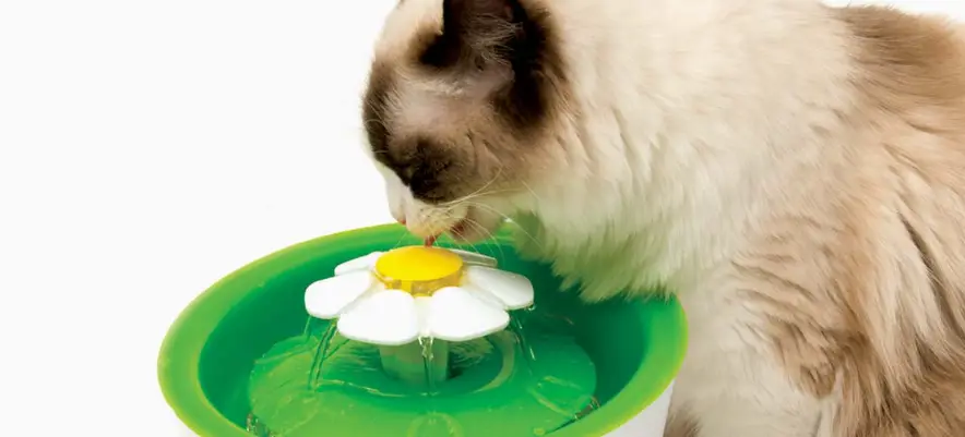 Catit 43742w Flower Fountain User Manual Catit 43742w Flower Fountain User Manual