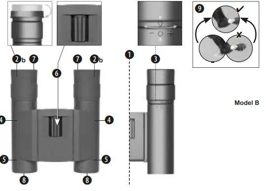 BRESSER-Pirsch-8x34-Binoculars-with-Phase-Coating-FIG-2