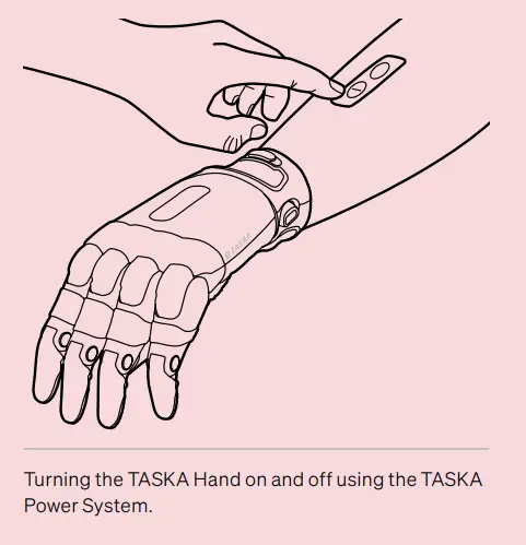 TASKA Hand Gen1 Gen2 Medium and Large-fig7