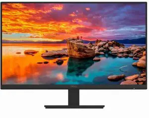 Dell D2421DS Monitor