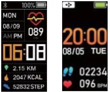 DENVER BFH 17 Smart Band - Smart Band