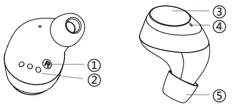 Structure-Of-Product