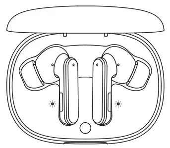 TRUEFREE T1 True Wireless Earbuds Bluetooth 5 0 Headphones - Charge the earbuds