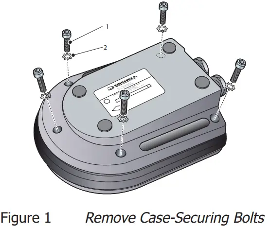MICHELL Instruments MDM300 I S Advanced Dew Point Hygrometer - figur1