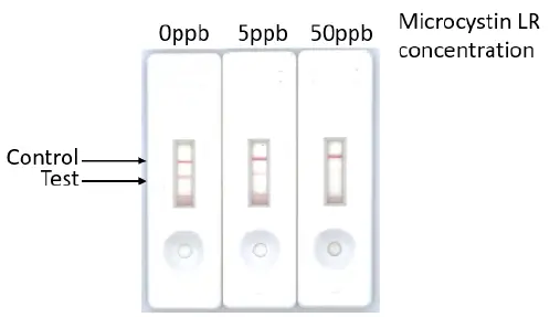 Attogene-AU2024C-Microcystin-Lateral-Flow-Kit-fig-1